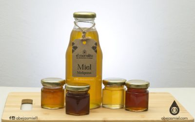 Opciones para almacenar miel de melipona