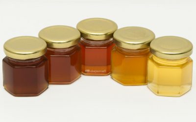 ¿Por qué es diferente la miel de melipona?