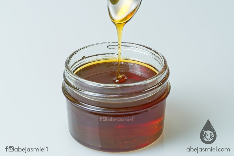 ¿Cómo las abejas producen miel?